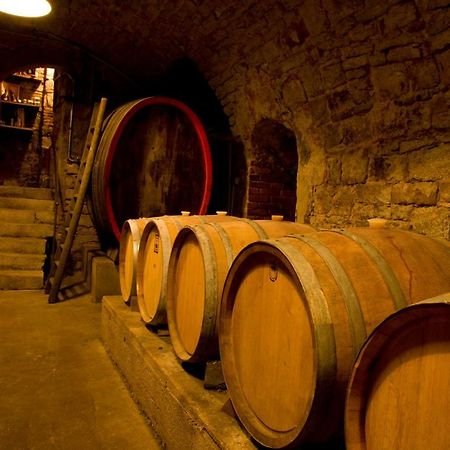 Ferienwohnung, Weingut Trockene Schmitts Randersacker Exteriér fotografie